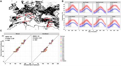 Genetic and Management Effects on Barley Yield and Phenology in the Mediterranean Basin